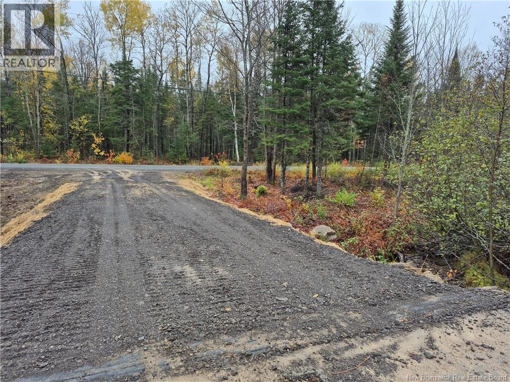 Kingsley Road, Kingsley, New Brunswick  E3A 6G2 - Photo 2 - NB149705