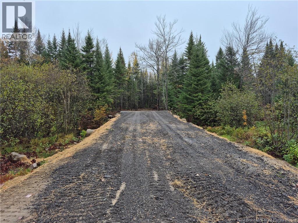 Kingsley Road, Kingsley, New Brunswick  E3A 6G2 - Photo 3 - NB149705