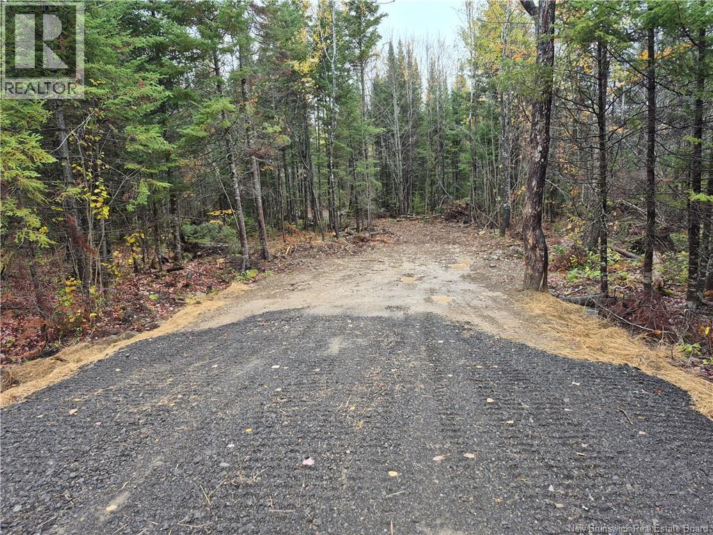 Kingsley Road, Kingsley, New Brunswick  E3A 6G2 - Photo 6 - NB149705