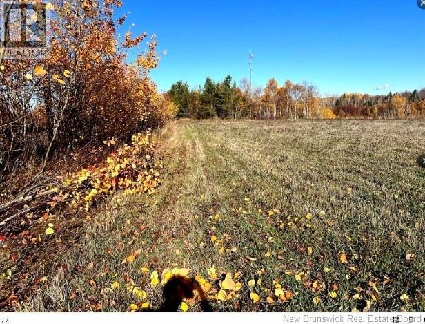 3 Acres Ch Eustache Hache, Saint-Isidore, New Brunswick  E8M 1G7 - Photo 2 - NB149600