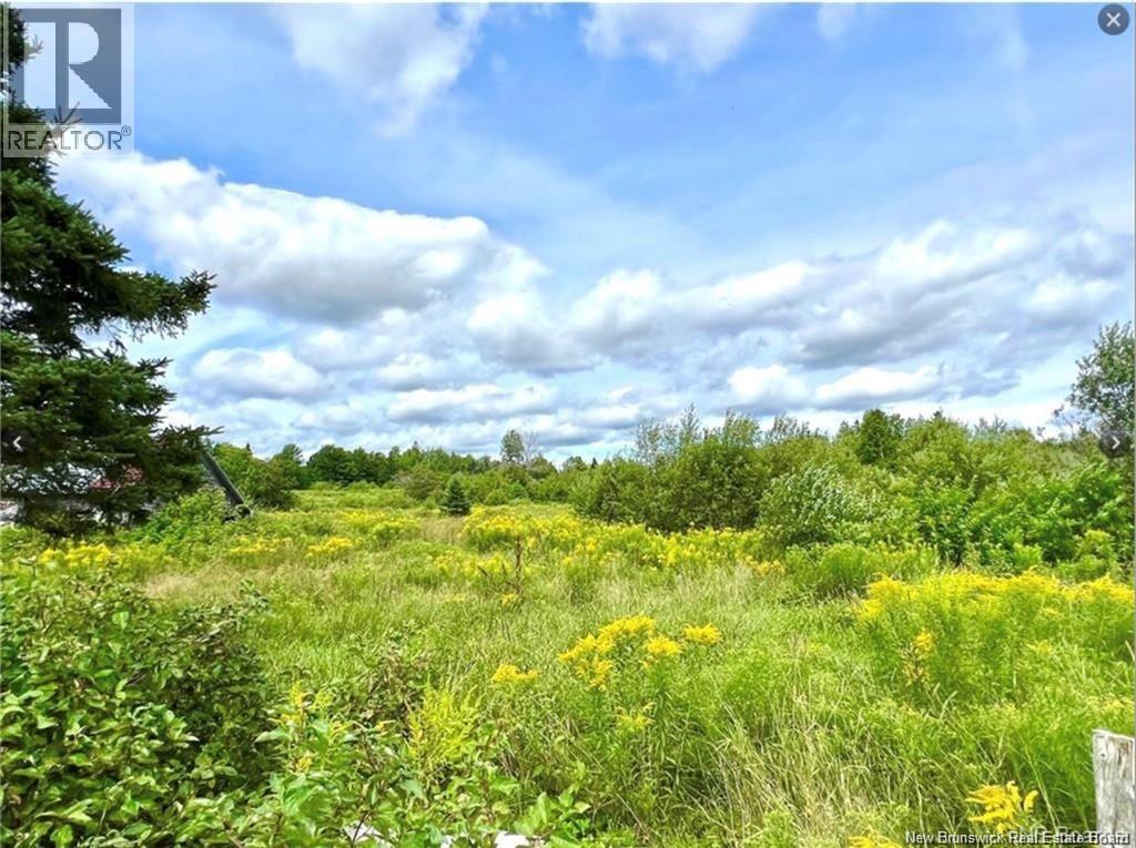 1708 Route 107, Williamsburg, New Brunswick  E6B 2J6 - Photo 15 - NB149706