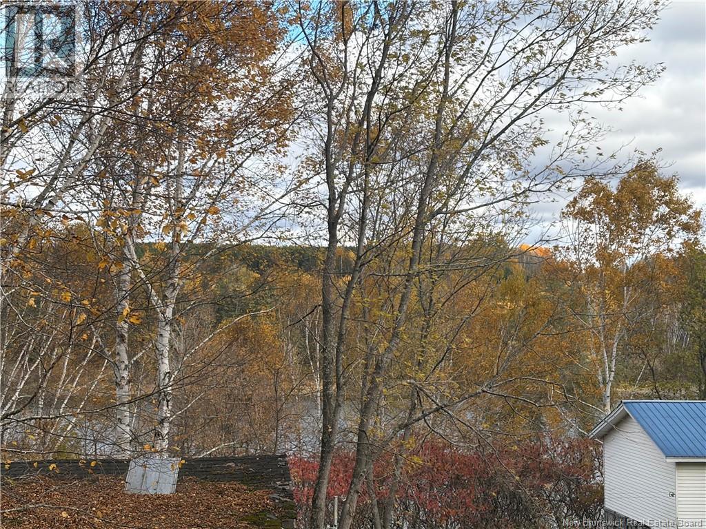 21 Bath Ferry Road, Wicklow, New Brunswick E7L 3S7 - Photo 3 - NB149737