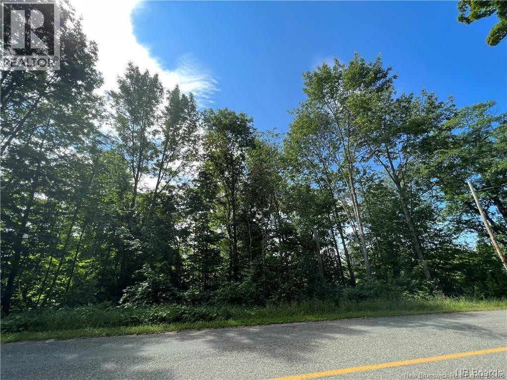 Vacant Lot 1 Route 105, Bear Island, New Brunswick  E6L 1K1 - Photo 2 - NB149790