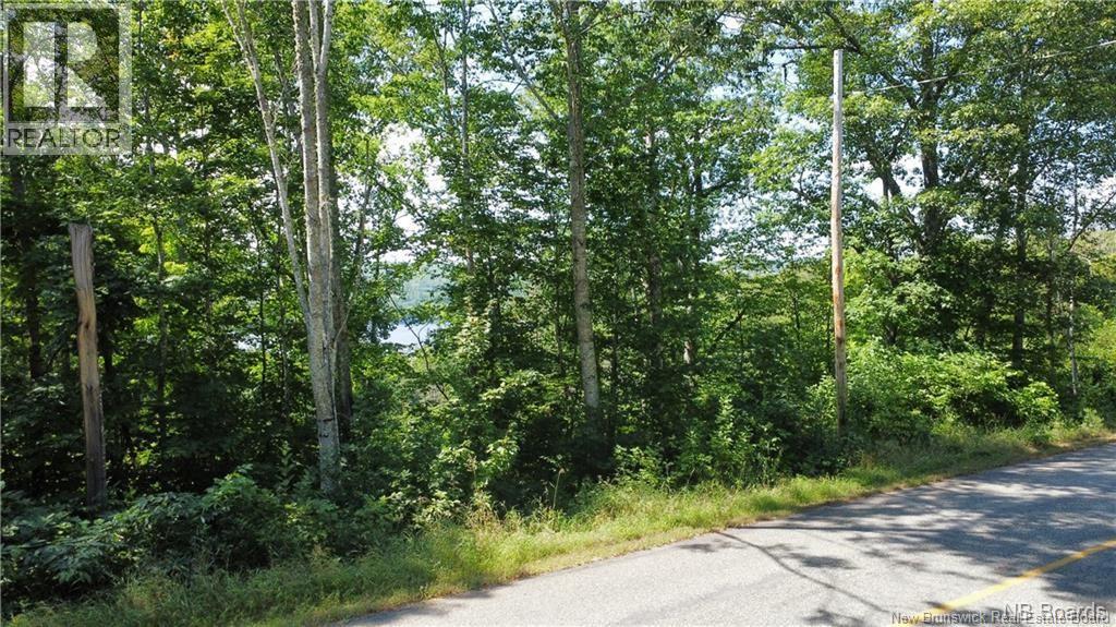 Vacant Lot 1 Route 105, Bear Island, New Brunswick  E6L 1K1 - Photo 3 - NB149790