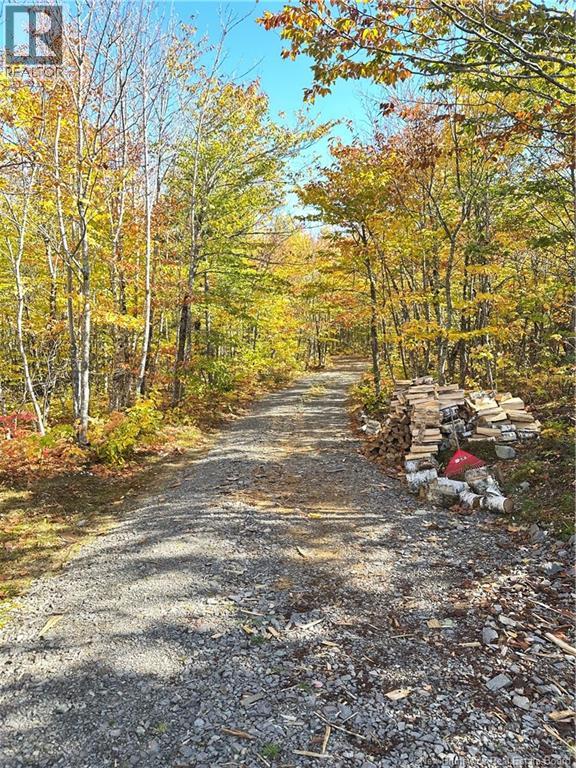 156 Russiantown Road, Portage Vale, New Brunswick  E4Z 0H4 - Photo 40 - NB149403