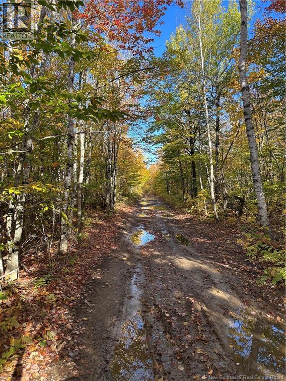 156 Russiantown Road, Portage Vale, New Brunswick  E4Z 0H4 - Photo 9 - NB149403