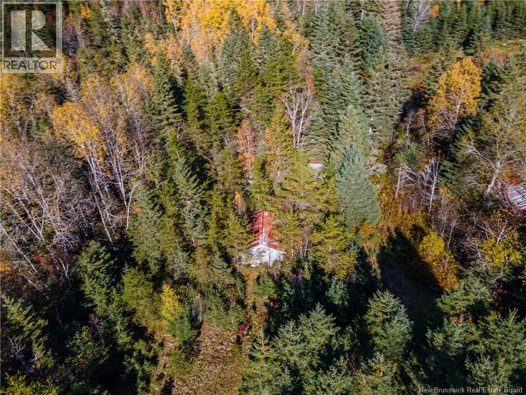 Lot Route 111, Jeffries Corner, New Brunswick  E4E 4H7 - Photo 4 - NB149789