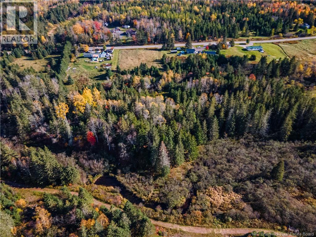 Lot Route 111, Jeffries Corner, New Brunswick  E4E 4H7 - Photo 6 - NB149789