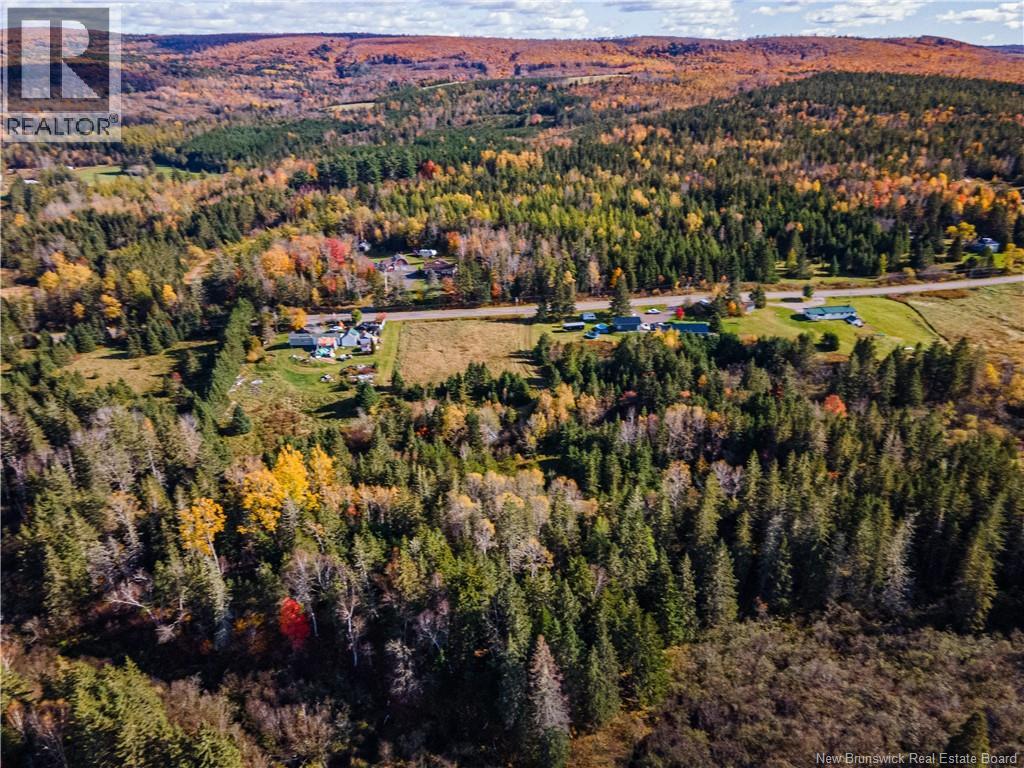 Lot Route 111, Jeffries Corner, New Brunswick  E4E 4H7 - Photo 7 - NB149789