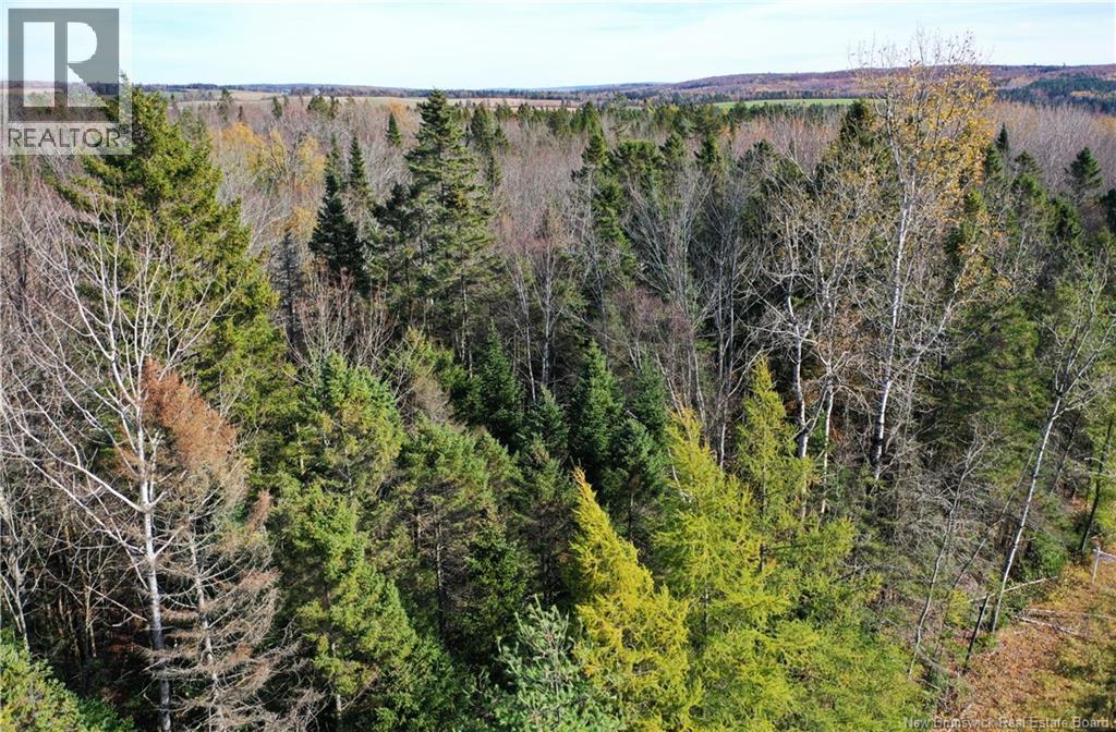 Lot 26-9 Route 855, Norton, New Brunswick  E5T 1Z8 - Photo 12 - NB149829