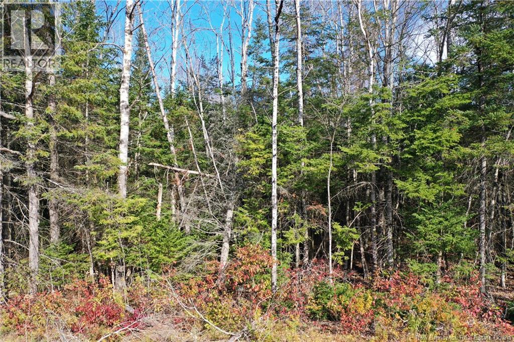 Lot 26-9 Route 855, Norton, New Brunswick  E5T 1Z8 - Photo 13 - NB149829