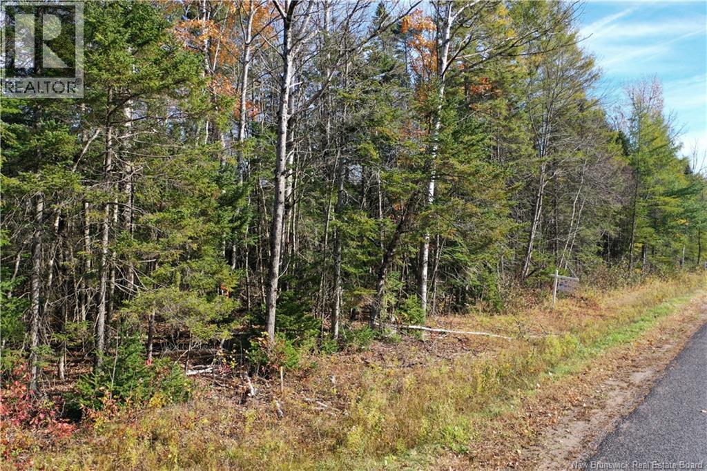 Lot 26-9 Route 855, Norton, New Brunswick  E5T 1Z8 - Photo 15 - NB149829