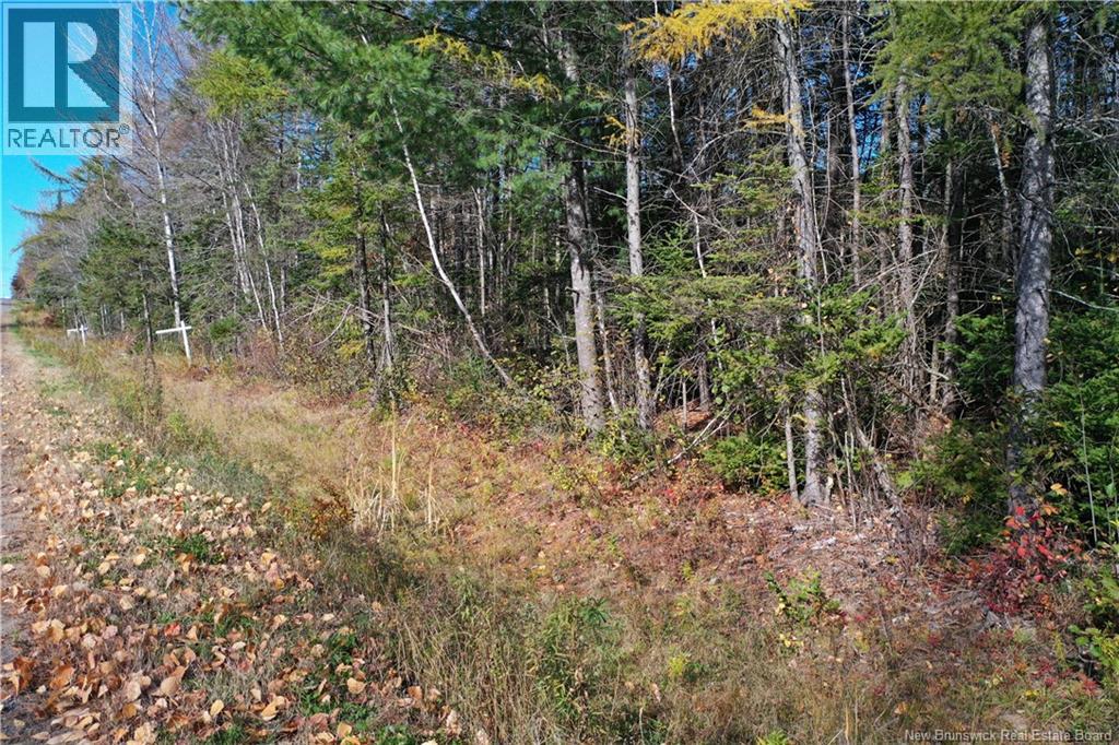 Lot 26-9 Route 855, Norton, New Brunswick  E5T 1Z8 - Photo 19 - NB149829