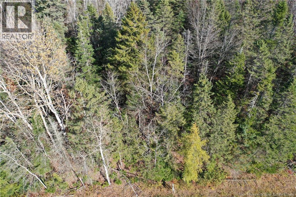 Lot 26-9 Route 855, Norton, New Brunswick  E5T 1Z8 - Photo 4 - NB149829