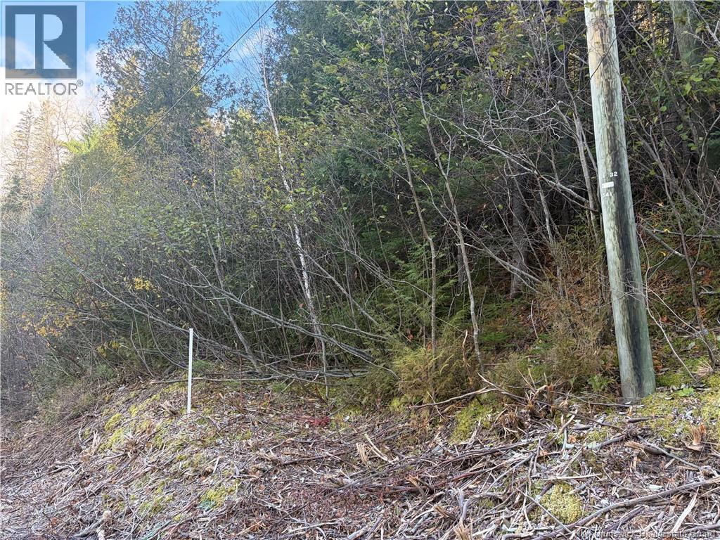 Vacant Lot Restigouche River Road, Dawsonville, New Brunswick  E3N 4X1 - Photo 3 - NB149759