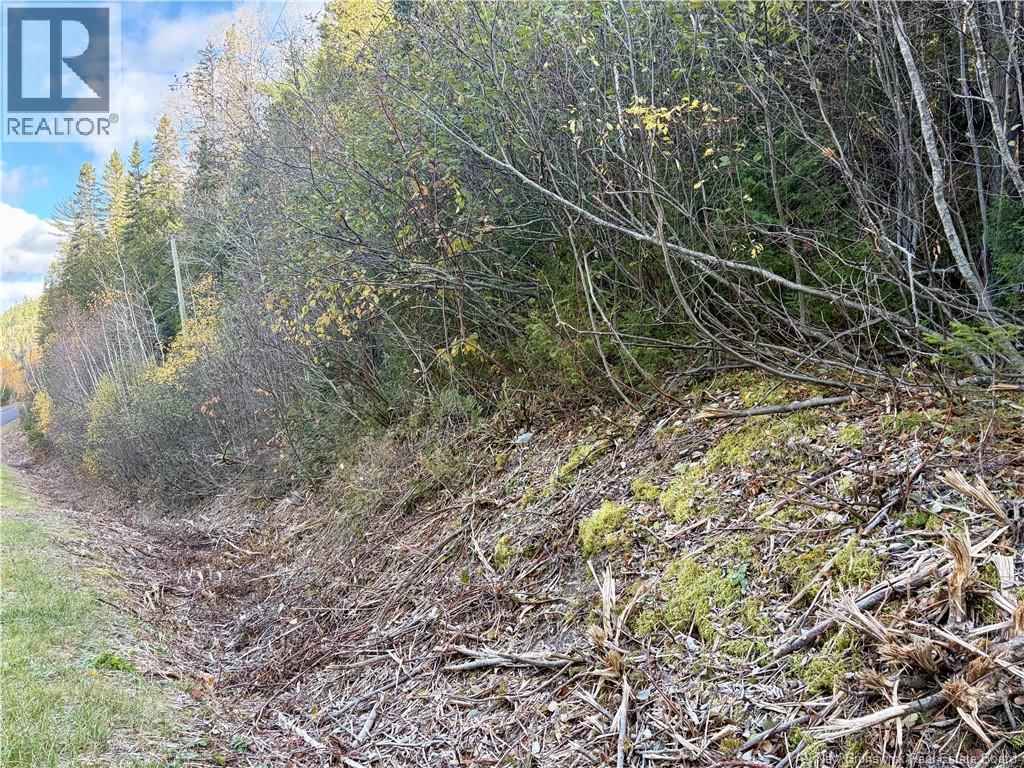 Vacant Lot Restigouche River Road, Dawsonville, New Brunswick  E3N 4X1 - Photo 4 - NB149759