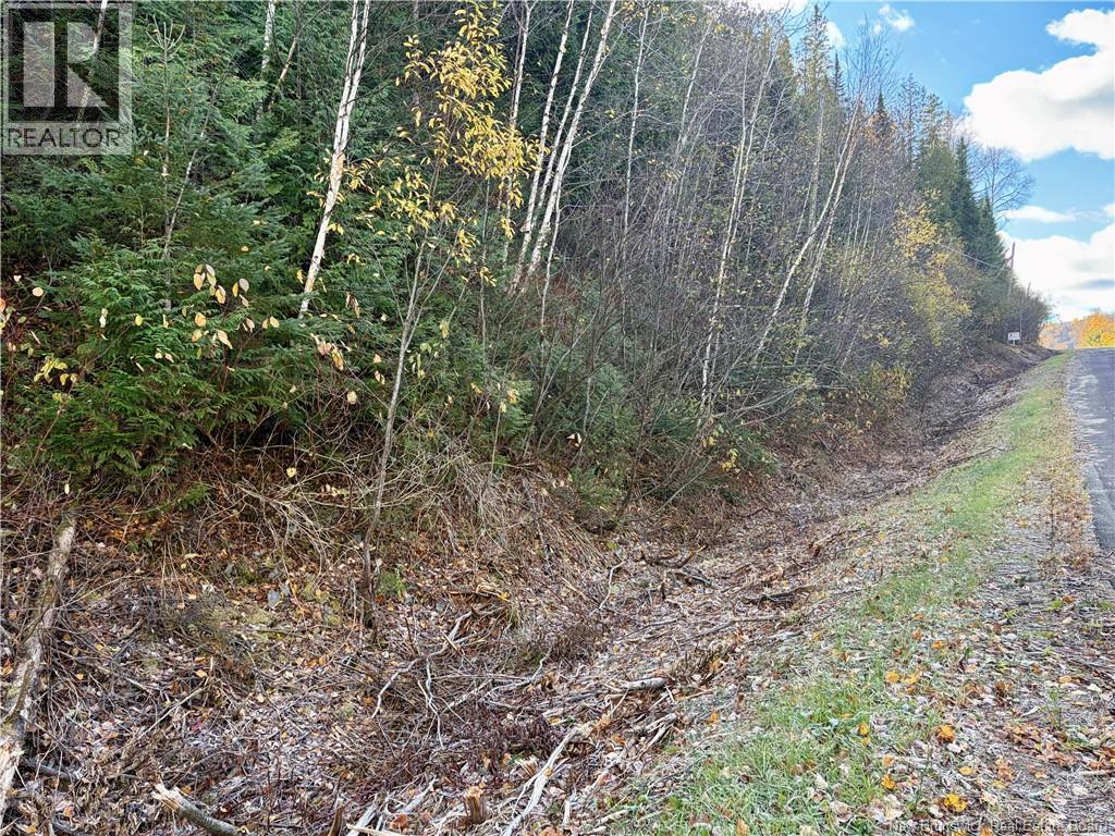 Vacant Lot Restigouche River Road, Dawsonville, New Brunswick  E3N 4X1 - Photo 6 - NB149759
