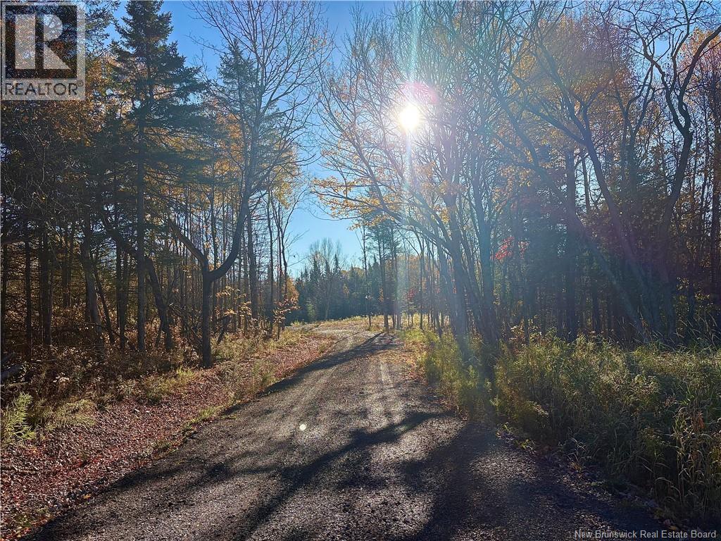 322 Route 617, Burtts Corner, New Brunswick E6L 2S3 - Photo 11 - NB149557