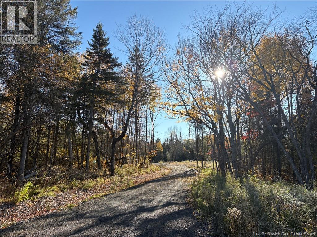 322 Route 617, Burtts Corner, New Brunswick E6L 2S3 - Photo 12 - NB149557