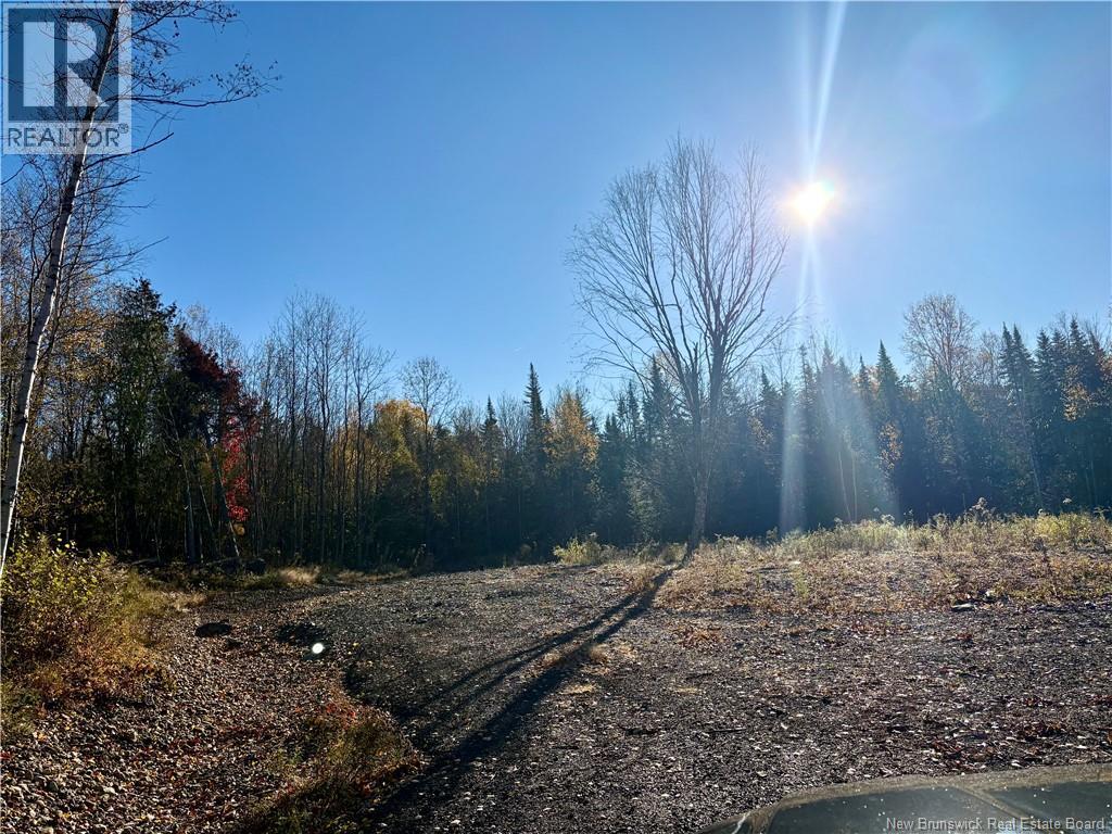 322 Route 617, Burtts Corner, New Brunswick E6L 2S3 - Photo 13 - NB149557