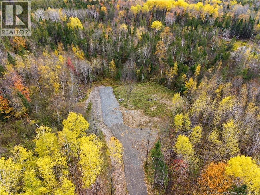 322 Route 617, Burtts Corner, New Brunswick E6L 2S3 - Photo 2 - NB149557