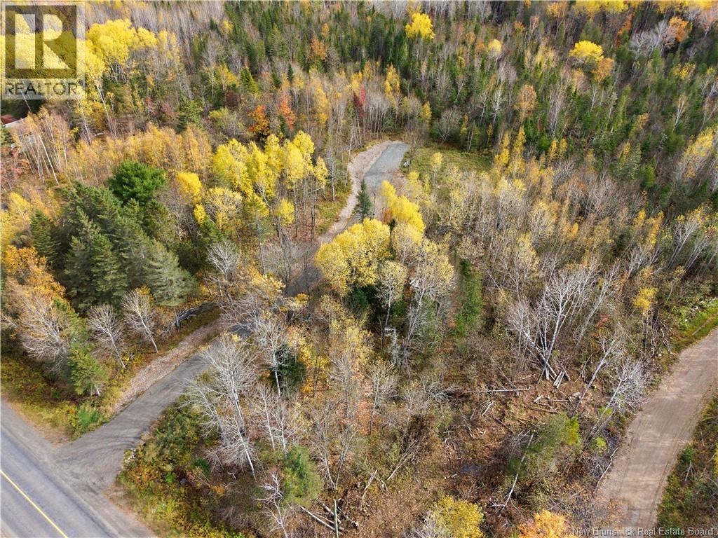 322 Route 617, Burtts Corner, New Brunswick E6L 2S3 - Photo 4 - NB149557