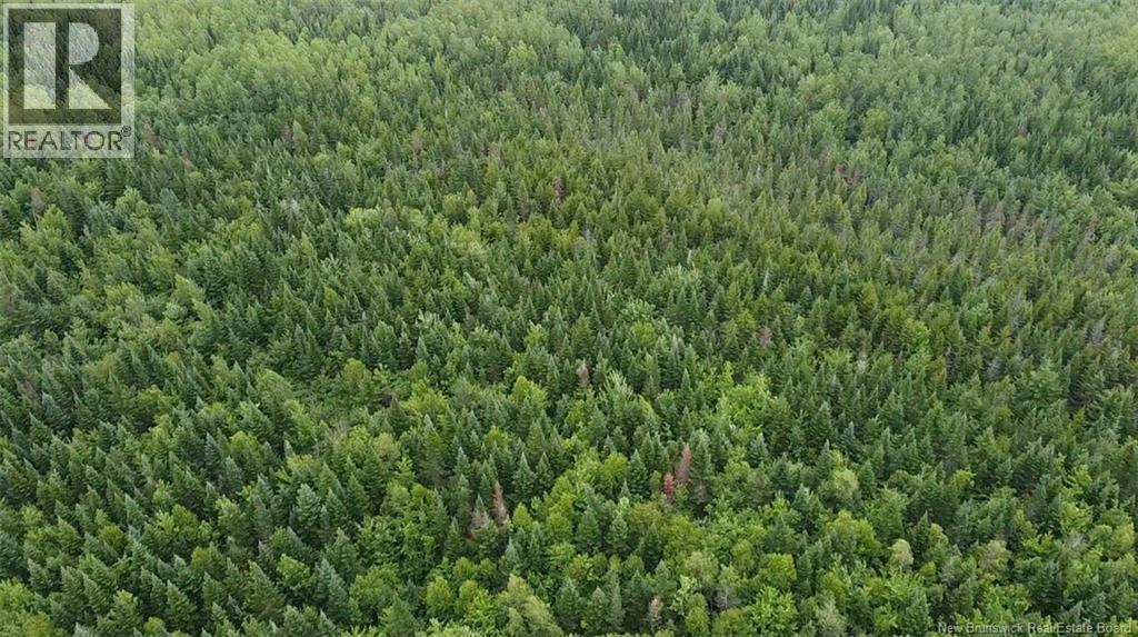 Off Drurys Cove Road, Ratter Corner, New Brunswick  E4E 3K9 - Photo 2 - NB149896