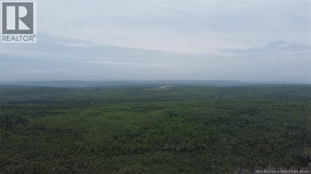 Off Drurys Cove Road, Ratter Corner, New Brunswick  E4E 3K9 - Photo 6 - NB149896
