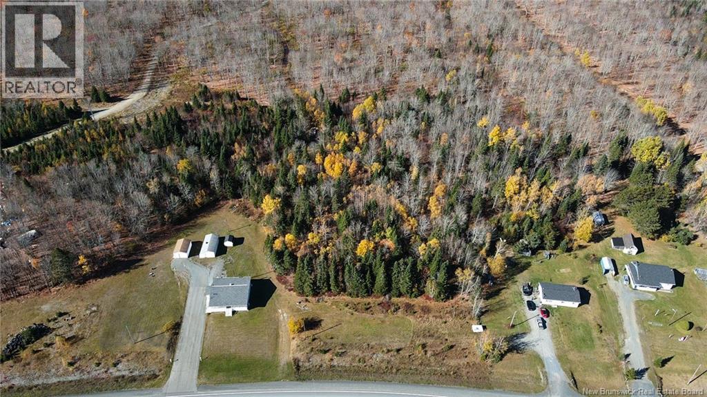 9054 Route 17, Whites Brook, New Brunswick  E8B 1Z6 - Photo 24 - NB149915