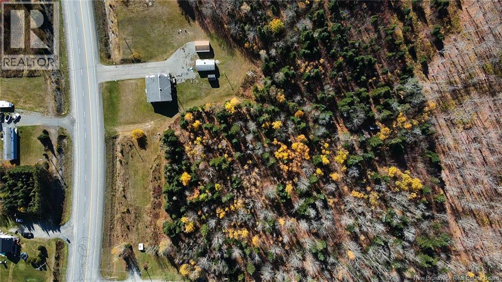 9054 Route 17, Whites Brook, New Brunswick  E8B 1Z6 - Photo 25 - NB149915