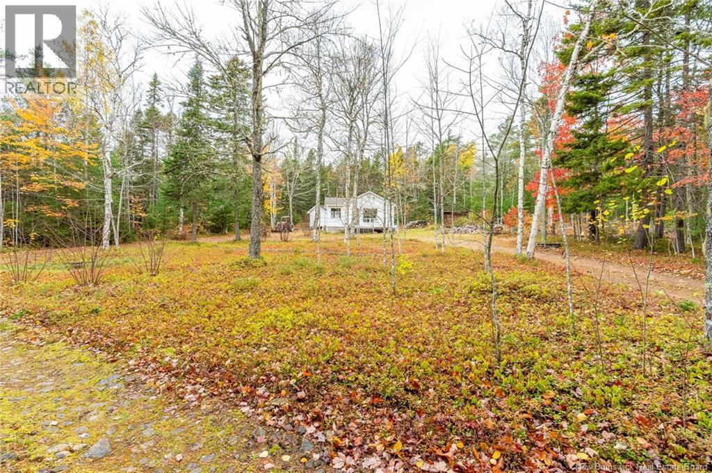 41 Hunters Lane, Anagance, New Brunswick  E4Z 0C6 - Photo 39 - NB149947