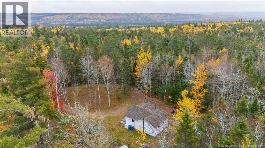 41 Hunters Lane, Anagance, New Brunswick  E4Z 0C6 - Photo 43 - NB149947