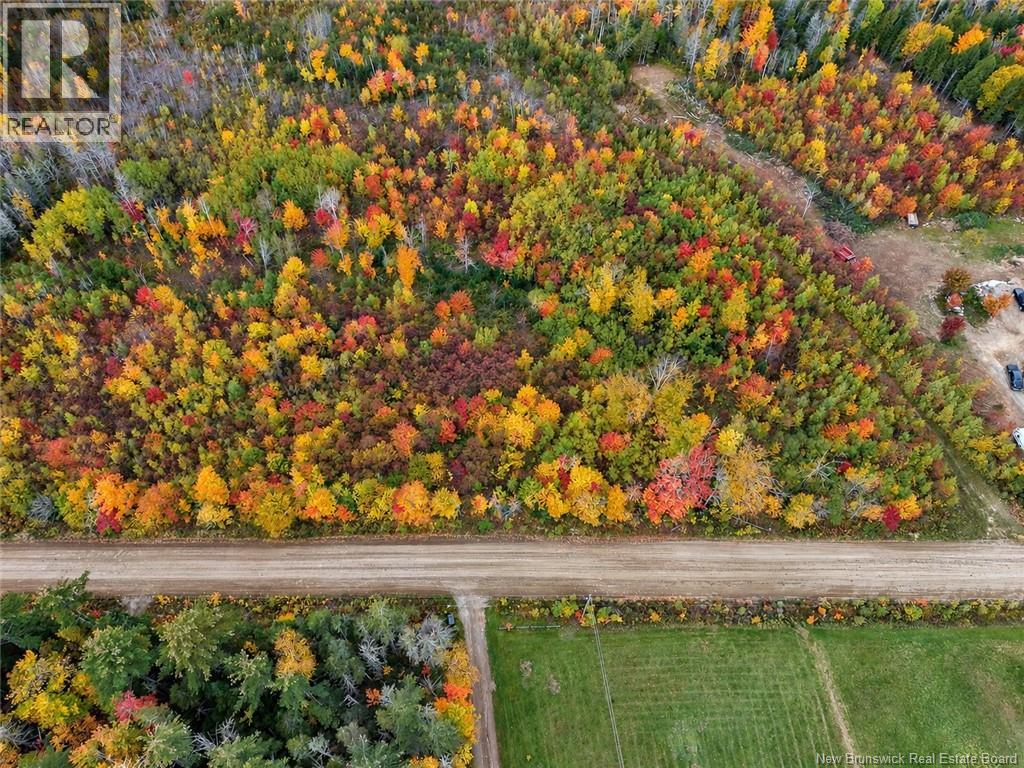 Lot 7 Tay Falls Road, Stanley, New Brunswick  E6B 1M7 - Photo 3 - NB149783
