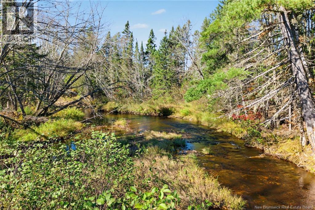 251 Cumberland Bay South Rd, Cumberland Bay, New Brunswick  E4A 1S2 - Photo 10 - NB150033