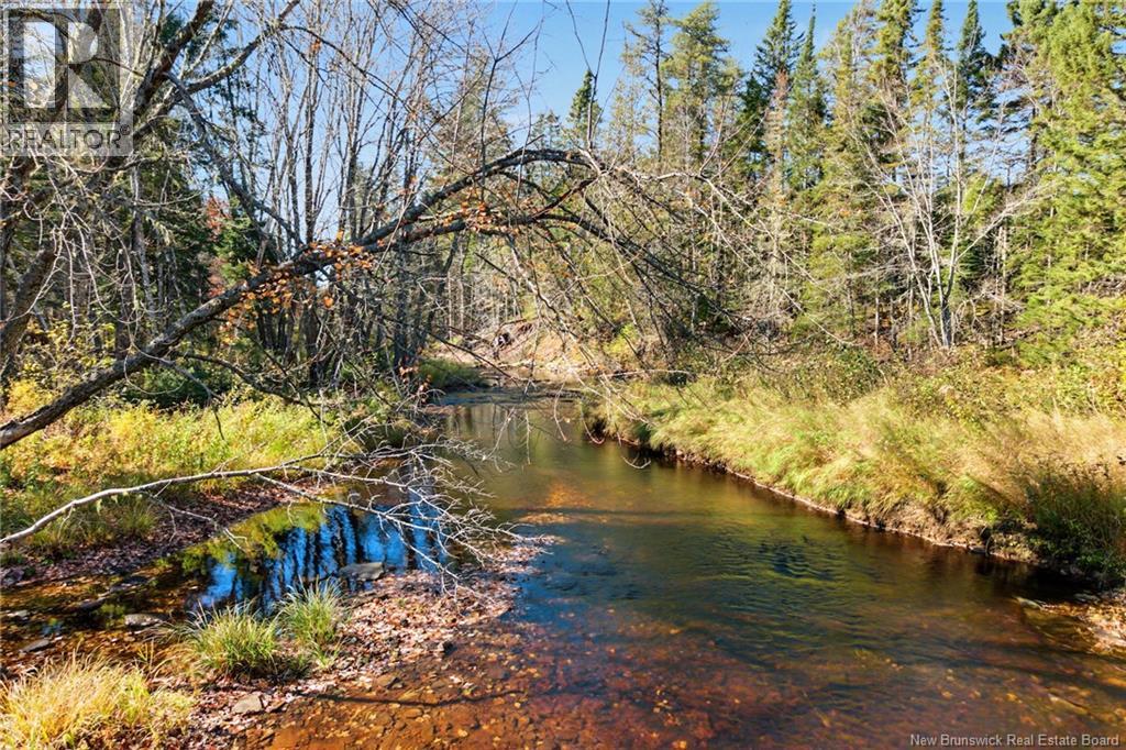 251 Cumberland Bay South Rd, Cumberland Bay, New Brunswick  E4A 1S2 - Photo 11 - NB150033