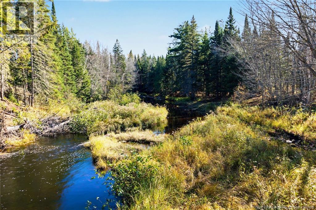 251 Cumberland Bay South Rd, Cumberland Bay, New Brunswick  E4A 1S2 - Photo 12 - NB150033