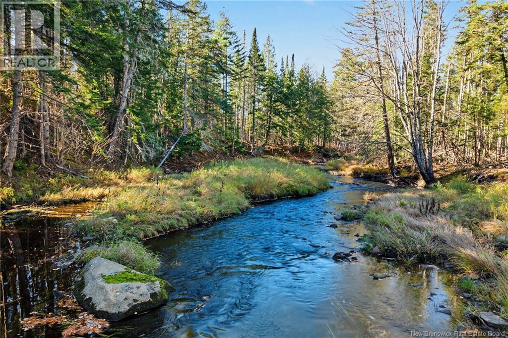 251 Cumberland Bay South Rd, Cumberland Bay, New Brunswick  E4A 1S2 - Photo 17 - NB150033