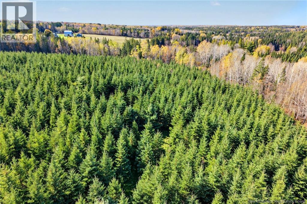 251 Cumberland Bay South Rd, Cumberland Bay, New Brunswick  E4A 1S2 - Photo 22 - NB150033
