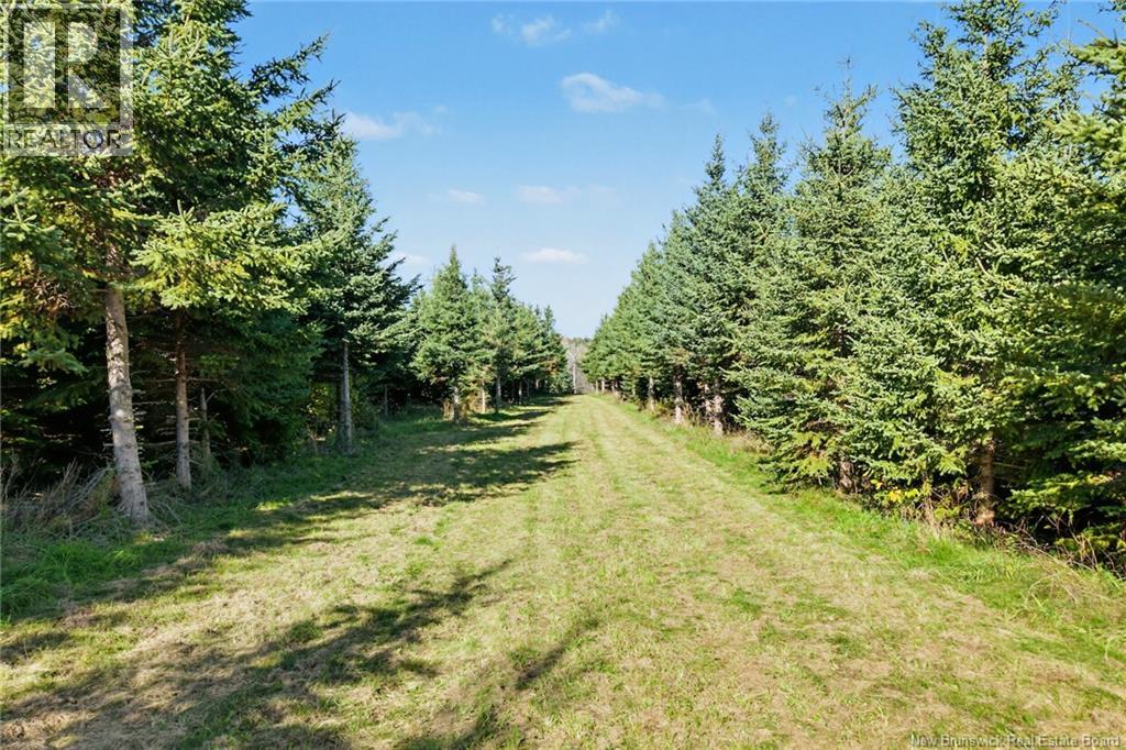 251 Cumberland Bay South Rd, Cumberland Bay, New Brunswick  E4A 1S2 - Photo 7 - NB150033