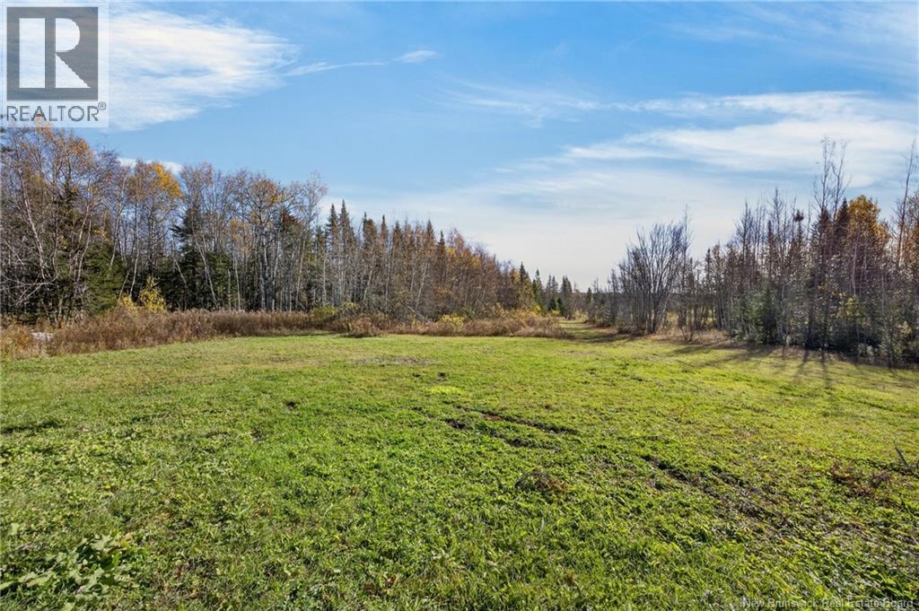 341 Route 635, Prince William, New Brunswick  E6K 1G3 - Photo 9 - NB150021