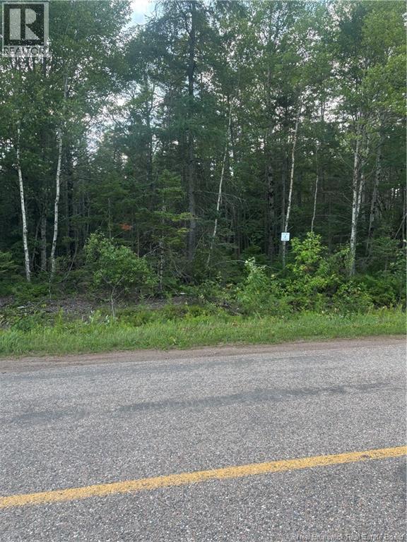 Lot 26-1 Upper Midland Road, Springfield, New Brunswick  E5T 1Z5 - Photo 4 - NB150017