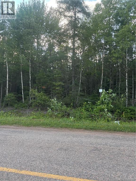Lot 26-1 Upper Midland Road, Springfield, New Brunswick  E5T 1Z5 - Photo 5 - NB150017