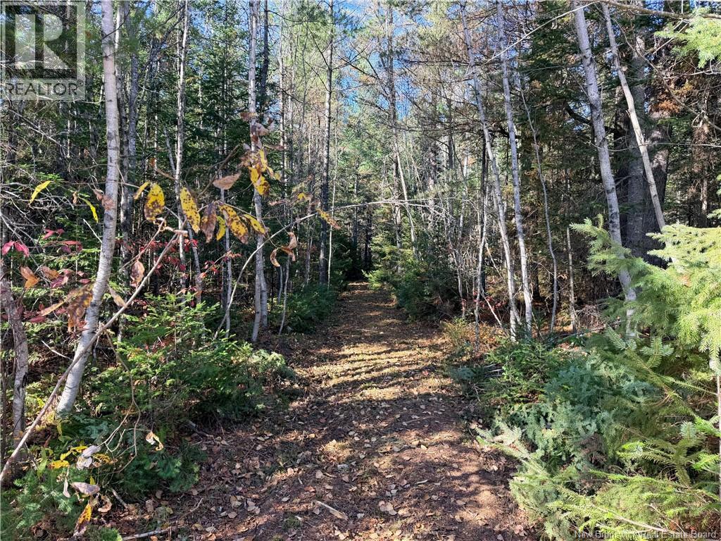 Lot 2 Route 112, Coles Island, New Brunswick  E4C 2W1 - Photo 1 - NB150073