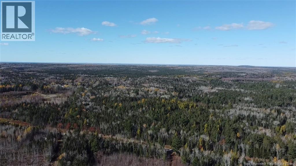 Lot 2 Route 112, Coles Island, New Brunswick  E4C 2W1 - Photo 3 - NB150073