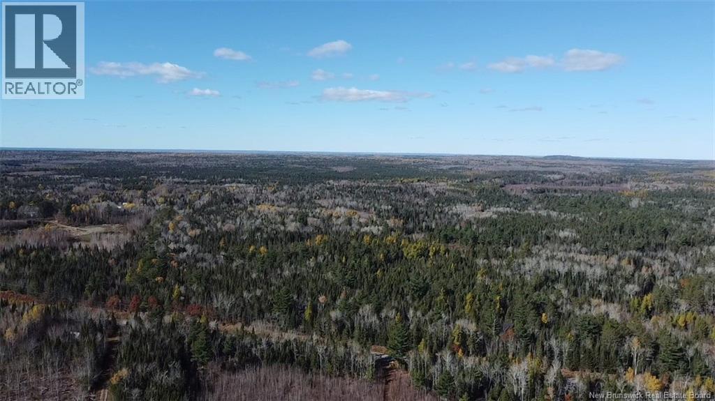 Lot 2 Route 112, Coles Island, New Brunswick  E4C 2W1 - Photo 4 - NB150073