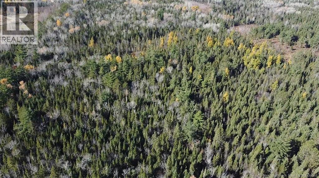 Lot 2 Route 112, Coles Island, New Brunswick  E4C 2W1 - Photo 5 - NB150073