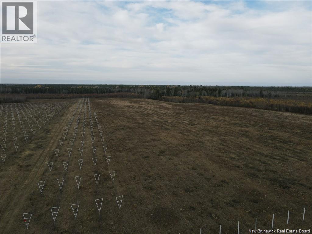 Lot Chem. Perry, Sainte-Anne-De-Kent, New Brunswick  E4S 1C4 - Photo 13 - NB150040
