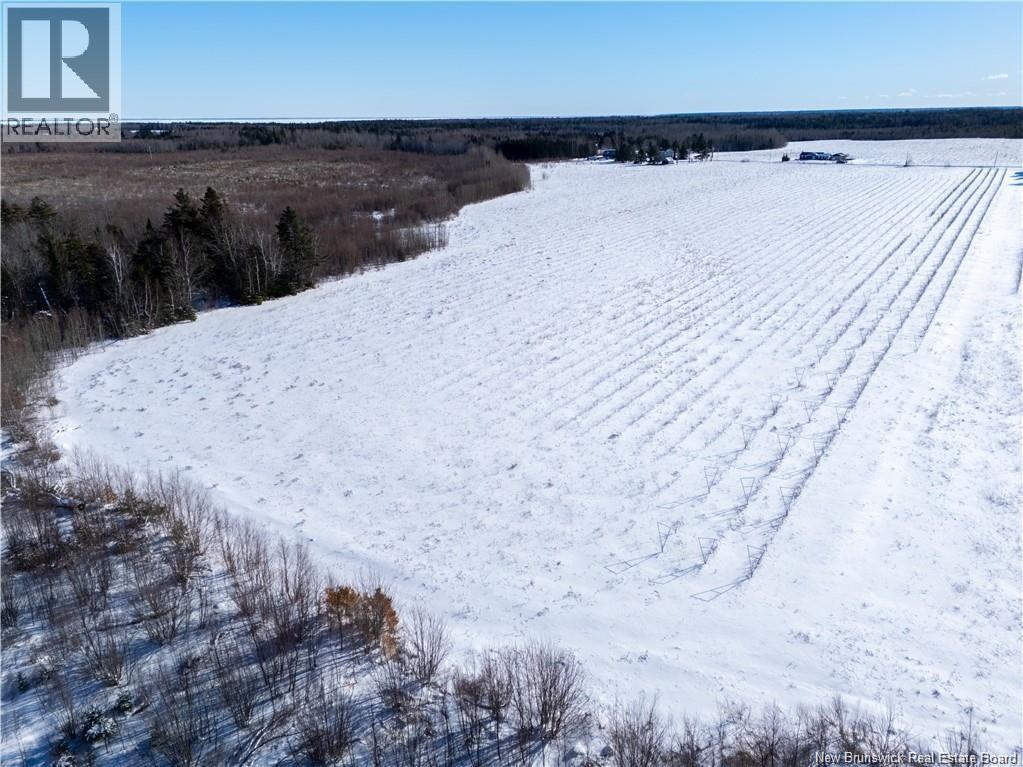 Lot Chem. Perry, Sainte-Anne-De-Kent, New Brunswick  E4S 1C4 - Photo 8 - NB150040