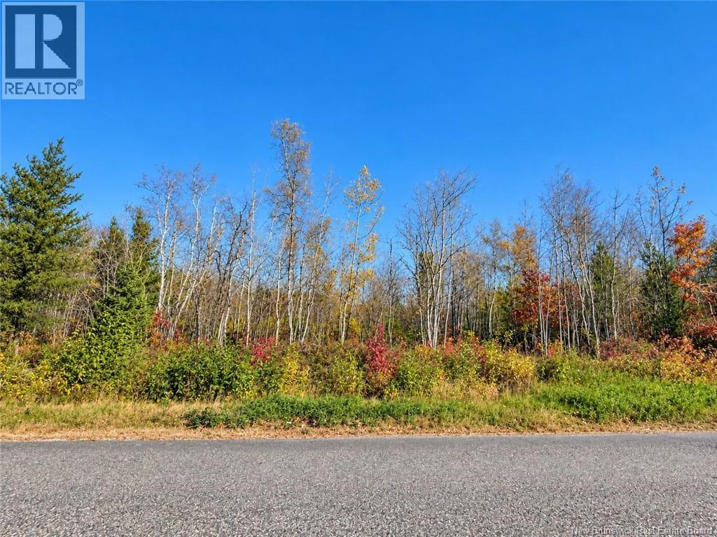 / rue Omer, Pointe-À-Tom, New Brunswick