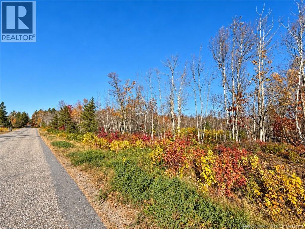 / Rue Omer, Pointe-À-Tom, New Brunswick  E1X 3X1 - Photo 2 - NB149854